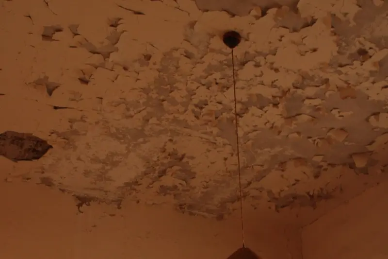 Stained and peeling ceiling with a hanging light, the kind of ceiling mold and water damage seen in Cary, NC homes