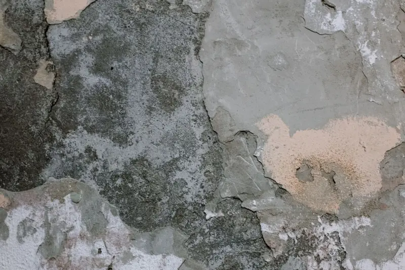 Wall with gray mold growth and peeling paint from long-term dampness, like the mold found on walls in Cary, NC homes