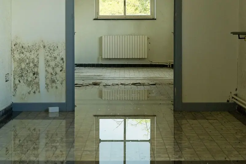 Room with standing water on the floor and damaged plaster at the base of the walls, water damage that leads to mold in Cary, NC